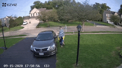 Motion detection live view