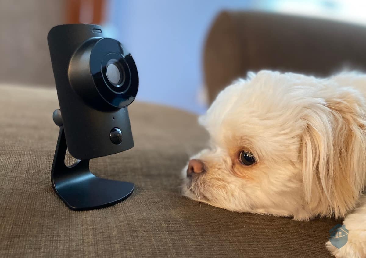 SimpliCam with Mookie