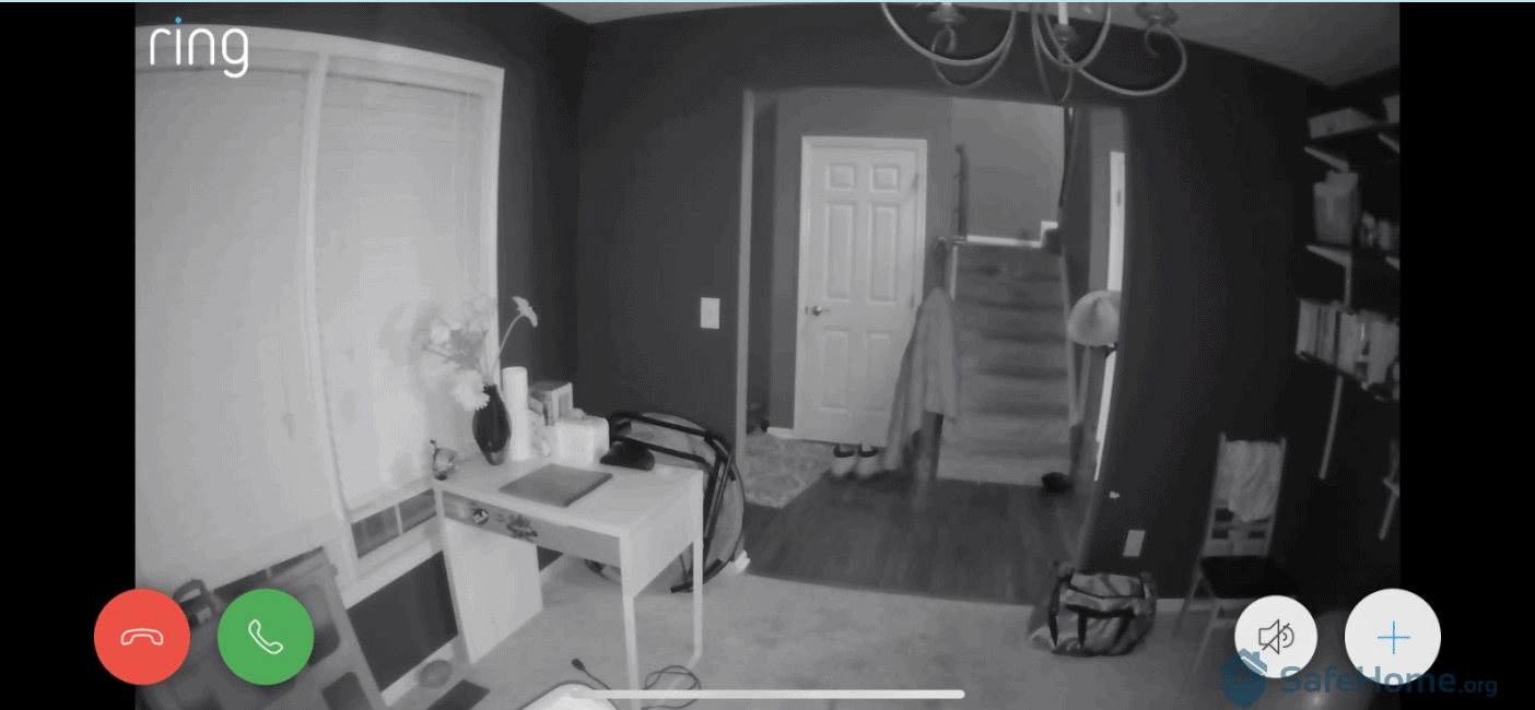 Ring Indoor Cam Night View